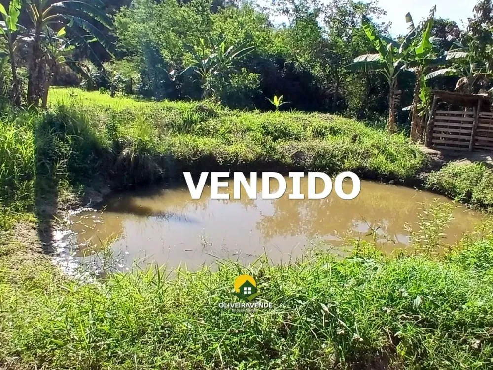 Sítio, 1 quarto, 2 hectares - Foto 67