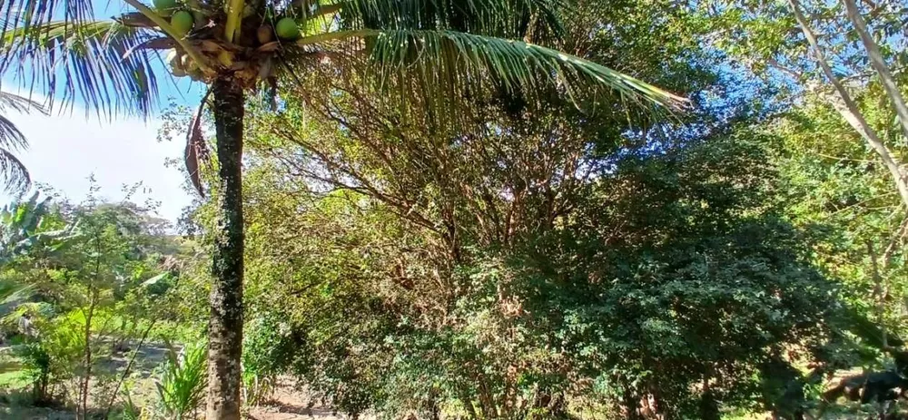 Sítio, 1 quarto, 2 hectares - Foto 14