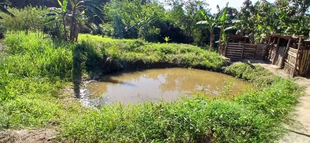 Sítio, 1 quarto, 2 hectares - Foto 33