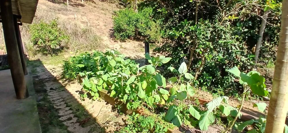 Sítio, 1 quarto, 2 hectares - Foto 16
