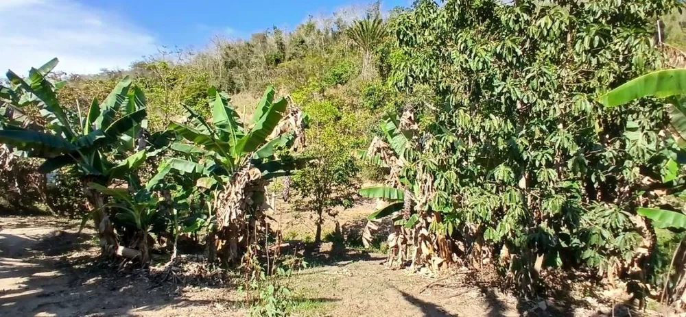 Sítio, 1 quarto, 2 hectares - Foto 30
