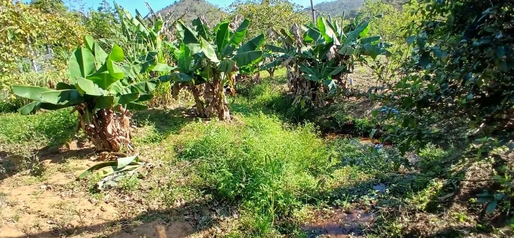 Sítio, 1 quarto, 2 hectares - Foto 1