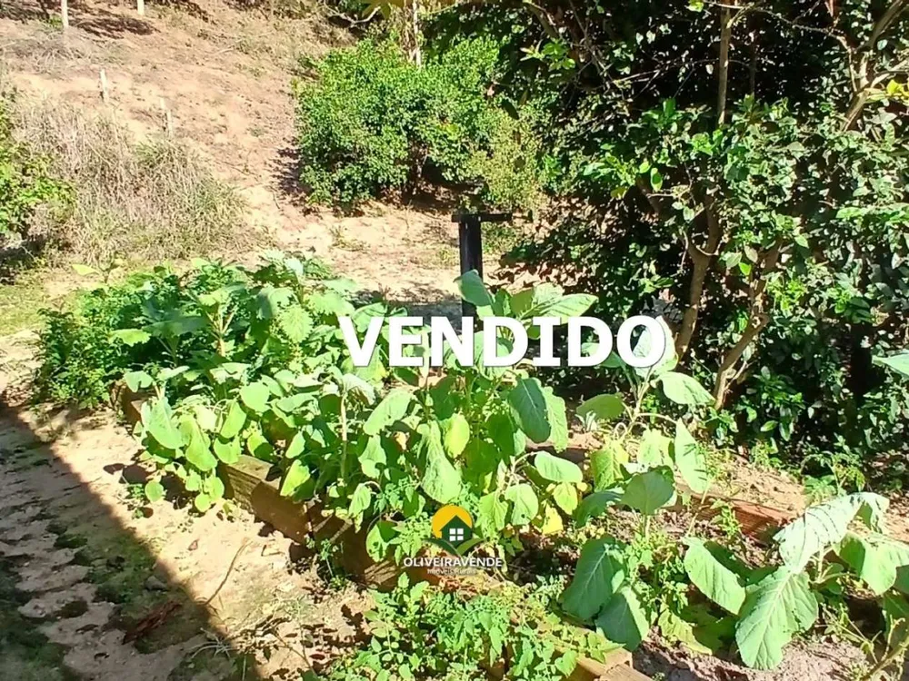 Sítio, 1 quarto, 2 hectares - Foto 46