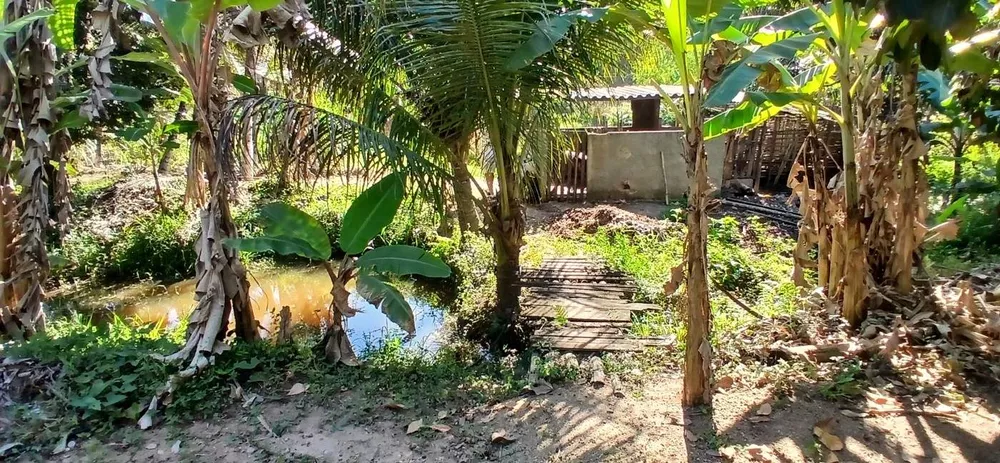 Sítio, 1 quarto, 2 hectares - Foto 10