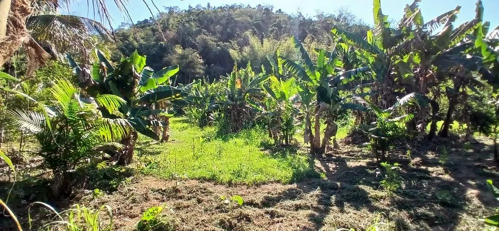 Sítio, 1 quarto, 2 hectares - Foto 22