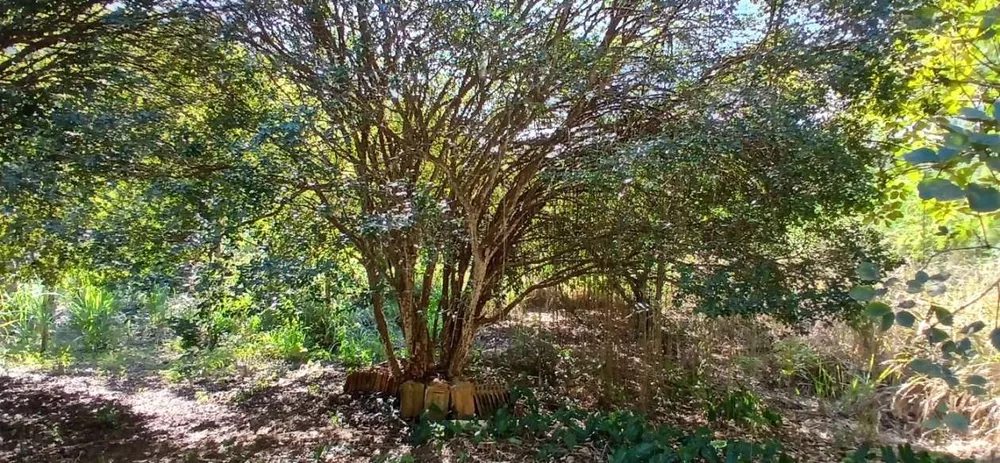 Sítio, 1 quarto, 2 hectares - Foto 31