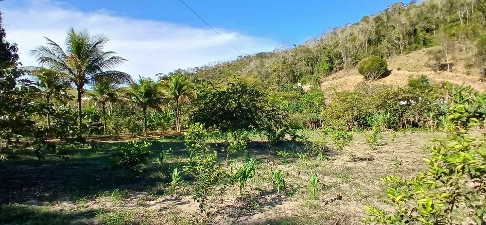 Sítio, 1 quarto, 2 hectares - Foto 3