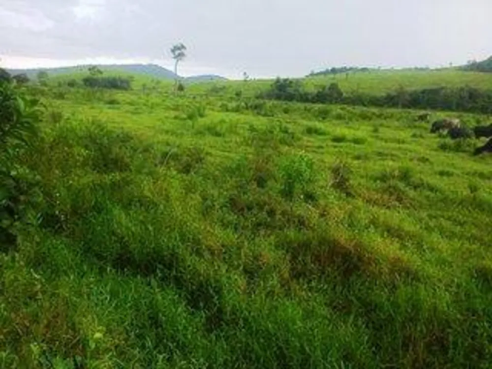 Fazenda, 140 m² - Foto 13