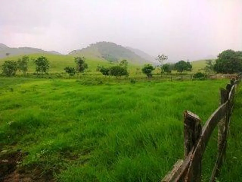 Fazenda, 140 m² - Foto 3