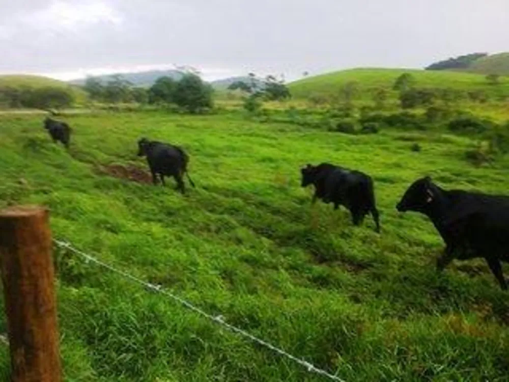 Fazenda, 140 m² - Foto 6