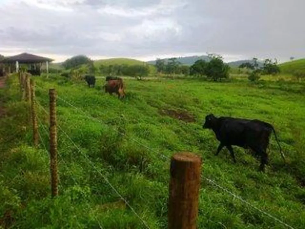 Fazenda, 140 m² - Foto 15