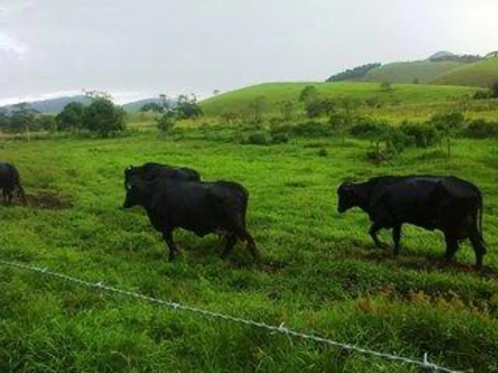 Fazenda, 140 m² - Foto 8