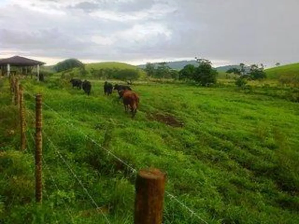 Fazenda, 140 m² - Foto 7