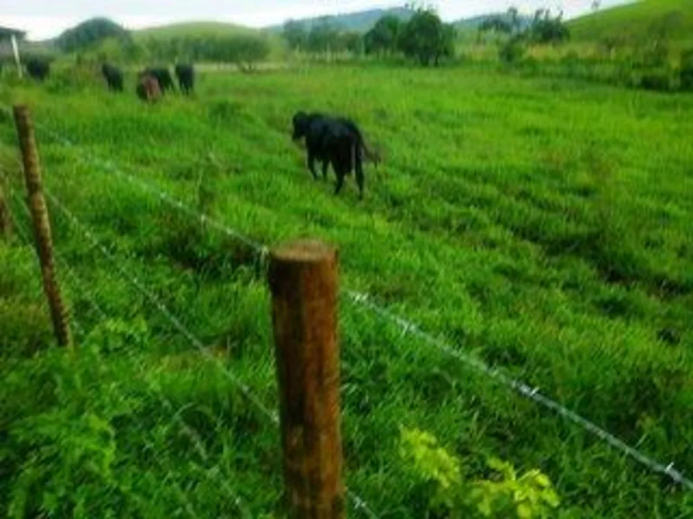 Fazenda, 140 m² - Foto 12