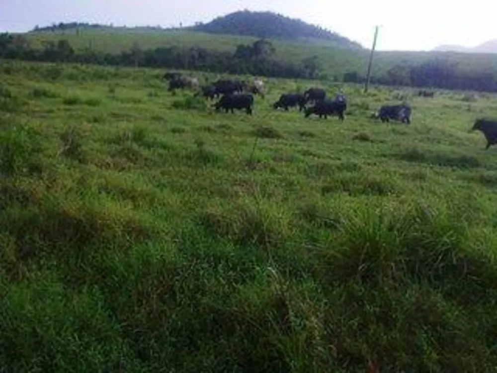 Fazenda, 140 m² - Foto 11