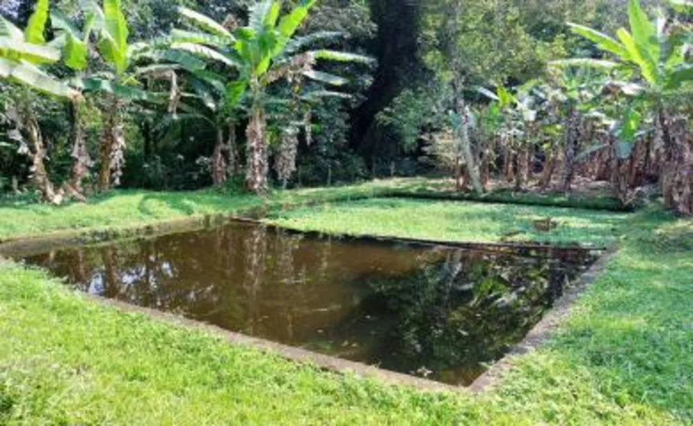 Sítio, 5 quartos, 6 hectares - Foto 9