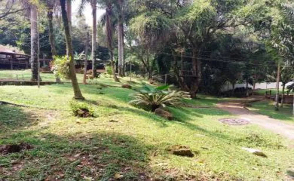 Sítio, 5 quartos, 6 hectares - Foto 14