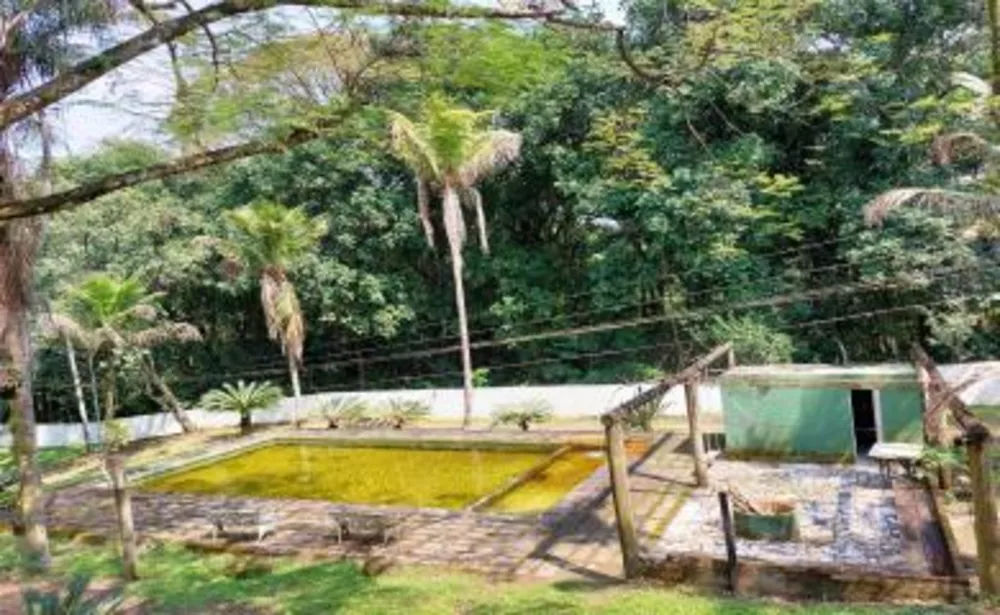 Sítio, 5 quartos, 6 hectares - Foto 9