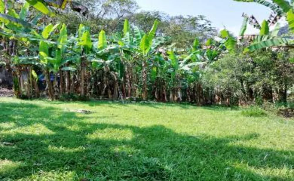 Sítio, 5 quartos, 6 hectares - Foto 12