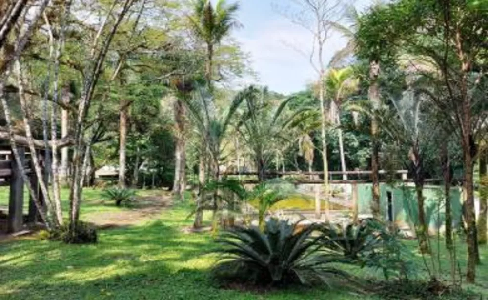 Sítio, 5 quartos, 6 hectares - Foto 15