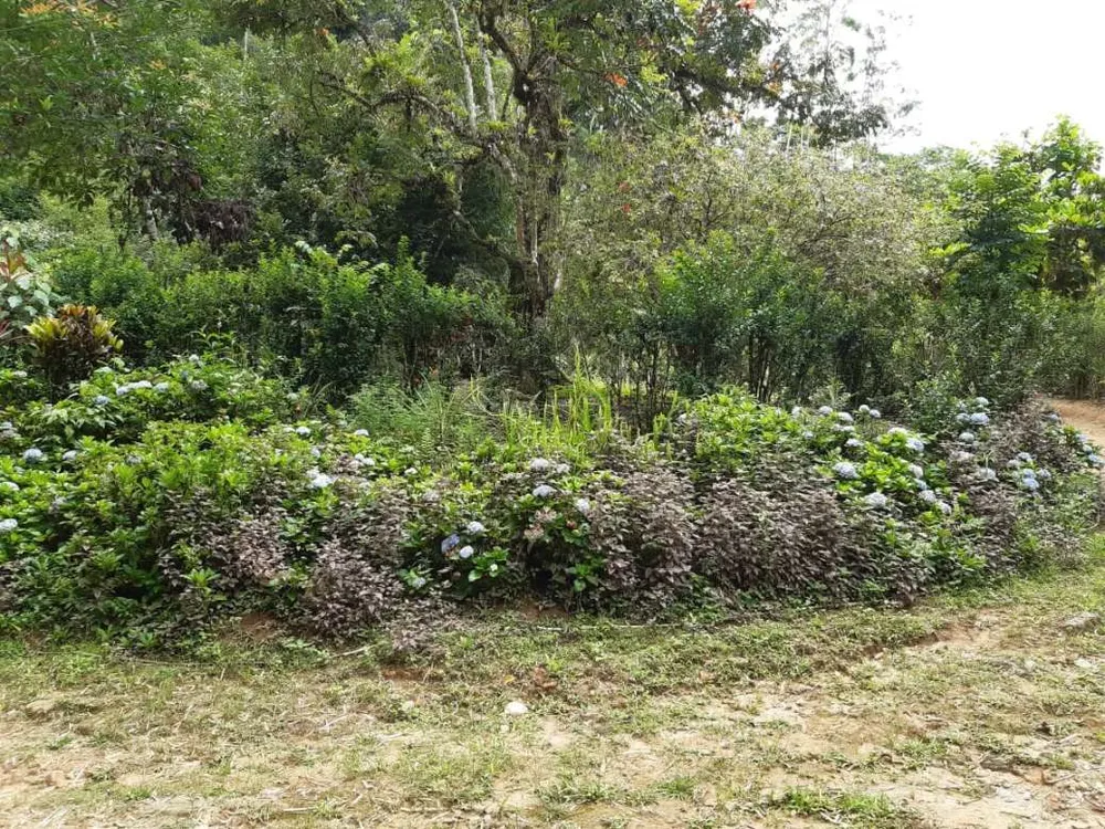 Sítio, 3 quartos, 19 hectares - Foto 22