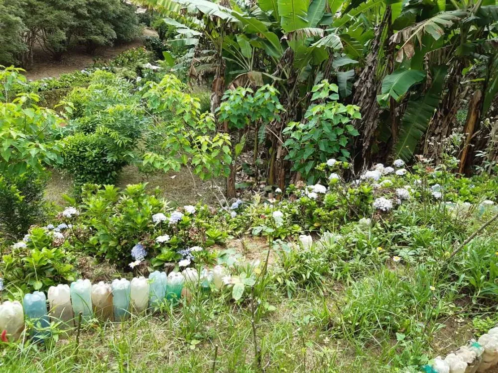 Sítio, 3 quartos, 19 hectares - Foto 12
