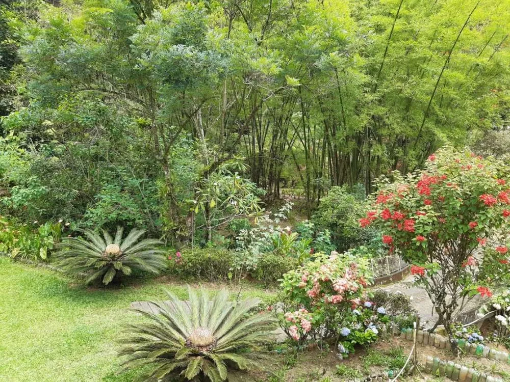 Sítio, 3 quartos, 19 hectares - Foto 10