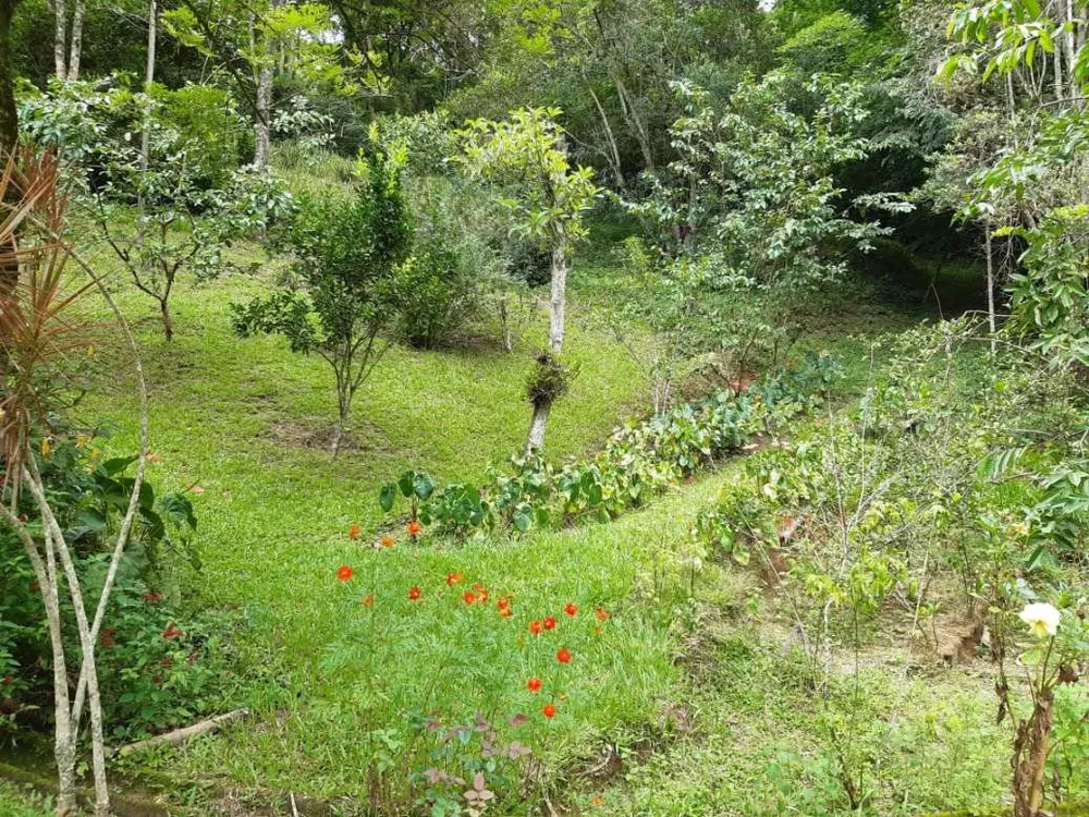 Sítio, 3 quartos, 19 hectares - Foto 17