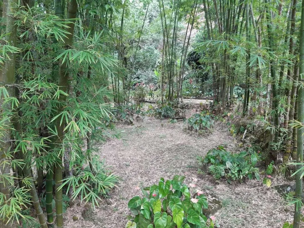 Sítio, 3 quartos, 19 hectares - Foto 44