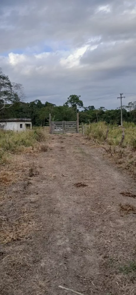 Fazenda-Sítio-Chácara, 19 m² - Foto 32