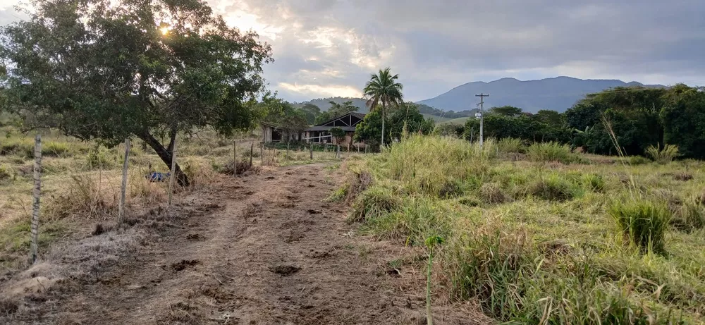 Fazenda-Sítio-Chácara, 19 m² - Foto 10