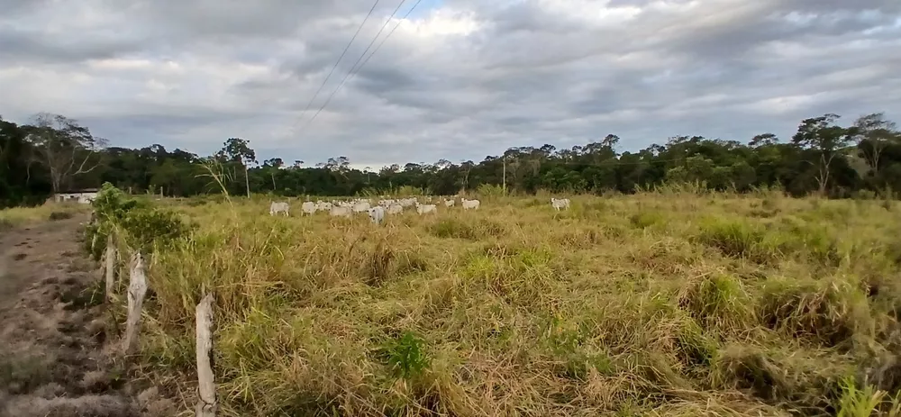 Fazenda-Sítio-Chácara, 19 m² - Foto 6