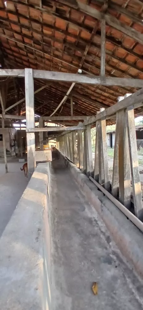 Fazenda-Sítio-Chácara, 19 m² - Foto 19