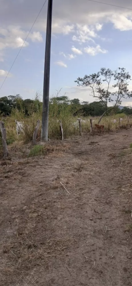 Fazenda-Sítio-Chácara, 19 m² - Foto 29