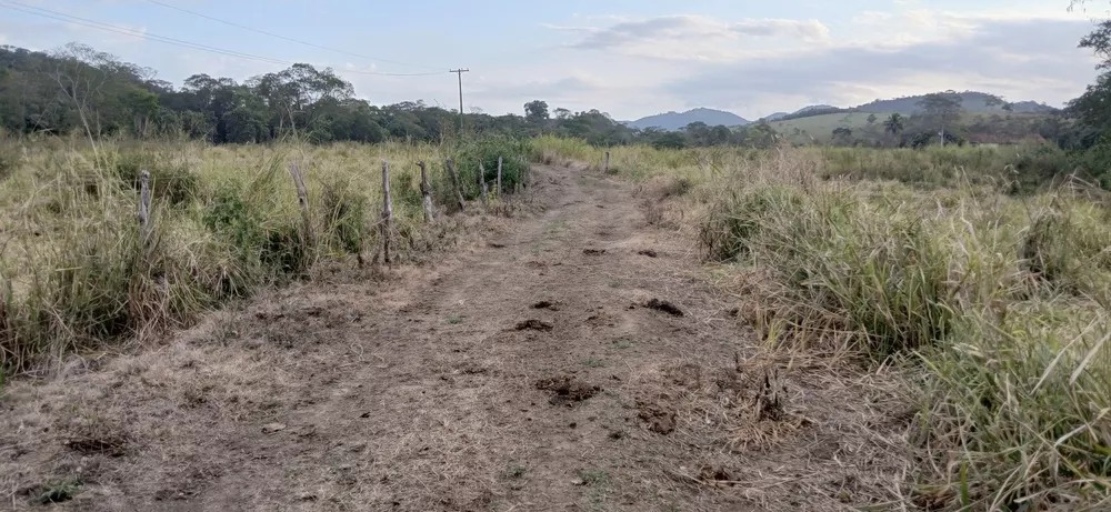 Fazenda-Sítio-Chácara, 19 m² - Foto 34