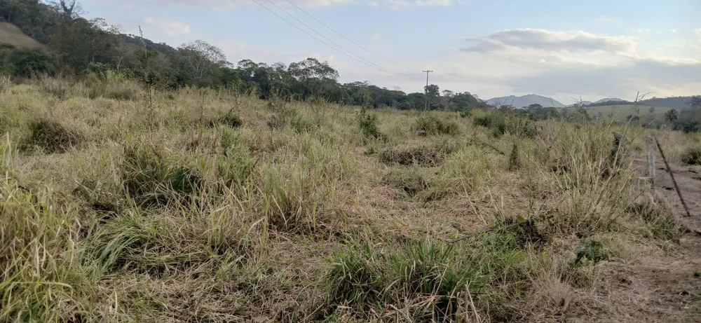 Fazenda, 19 m² - Foto 44