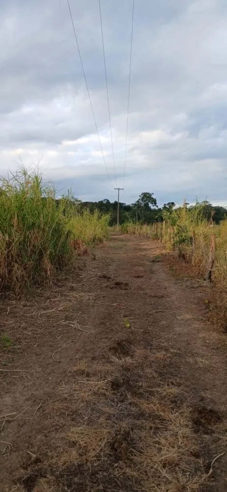 Fazenda-Sítio-Chácara, 19 m² - Foto 9