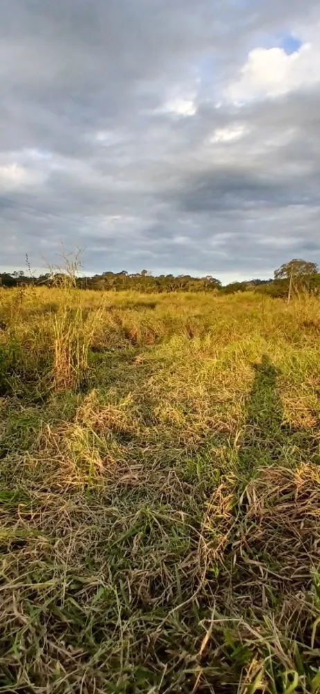 Fazenda-Sítio-Chácara, 19 m² - Foto 16