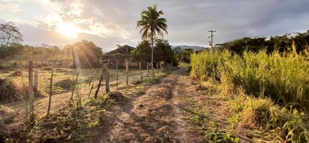 Fazenda-Sítio-Chácara, 19 m² - Foto 14
