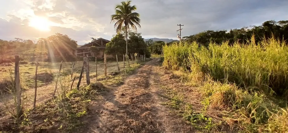 Fazenda, 19 m² - Foto 45