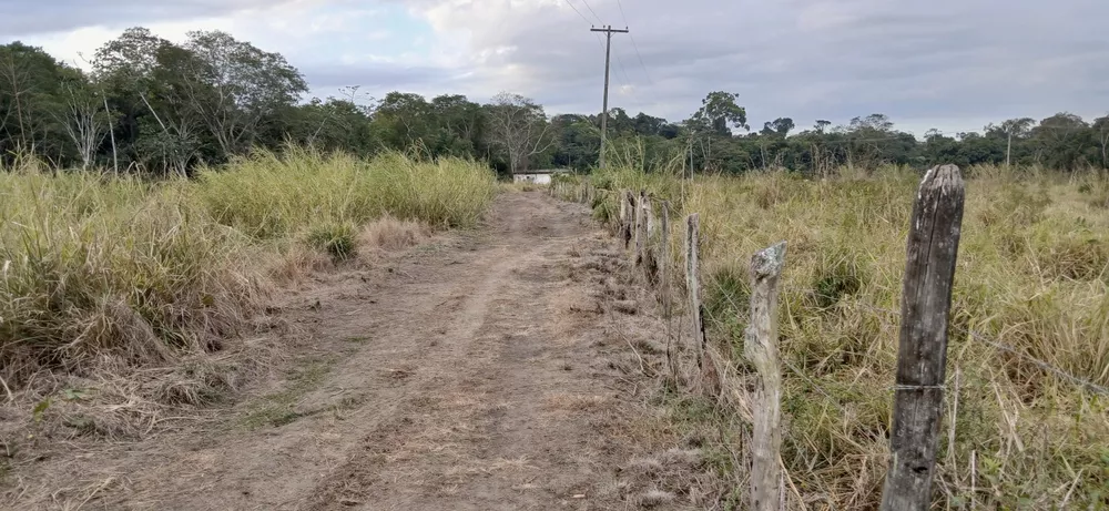 Fazenda-Sítio-Chácara, 19 m² - Foto 30