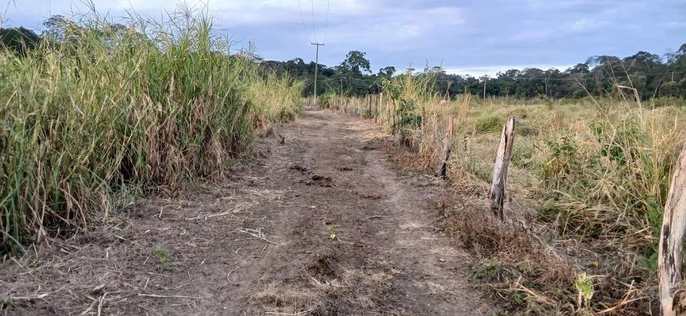 Fazenda-Sítio-Chácara, 19 m² - Foto 8