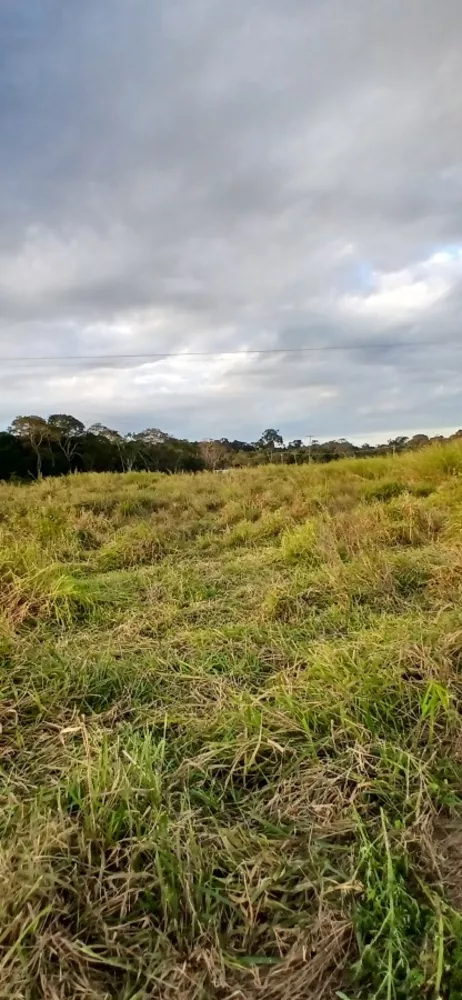 Fazenda-Sítio-Chácara, 19 m² - Foto 11