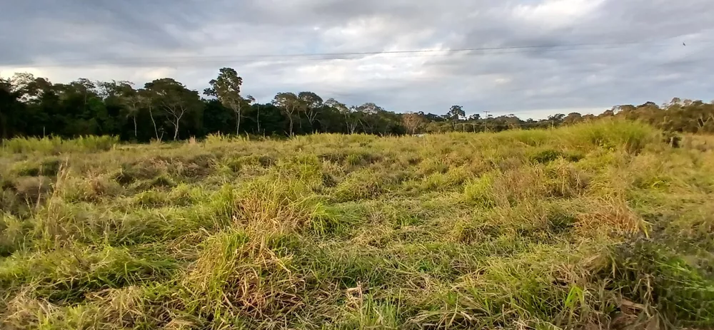 Fazenda-Sítio-Chácara, 19 m² - Foto 12