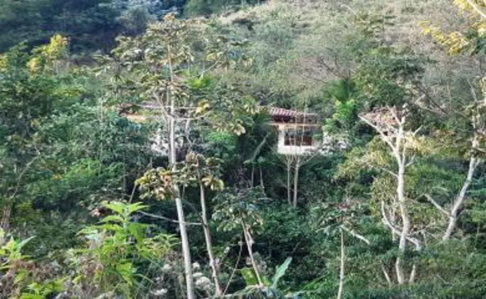 Sítio, 2 quartos, 14 hectares - Foto 6