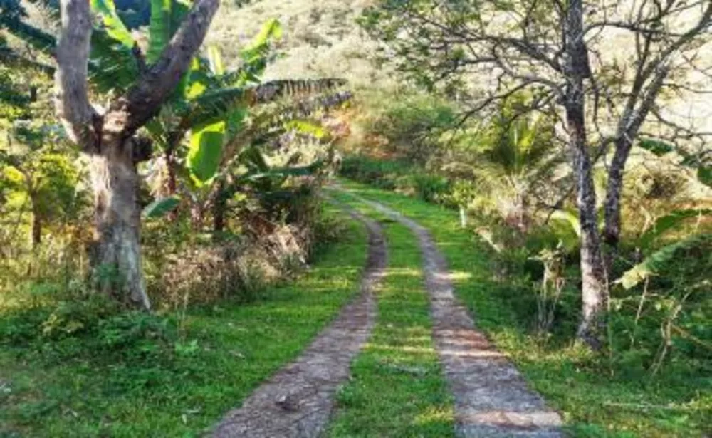 Sítio, 2 quartos, 14 hectares - Foto 13