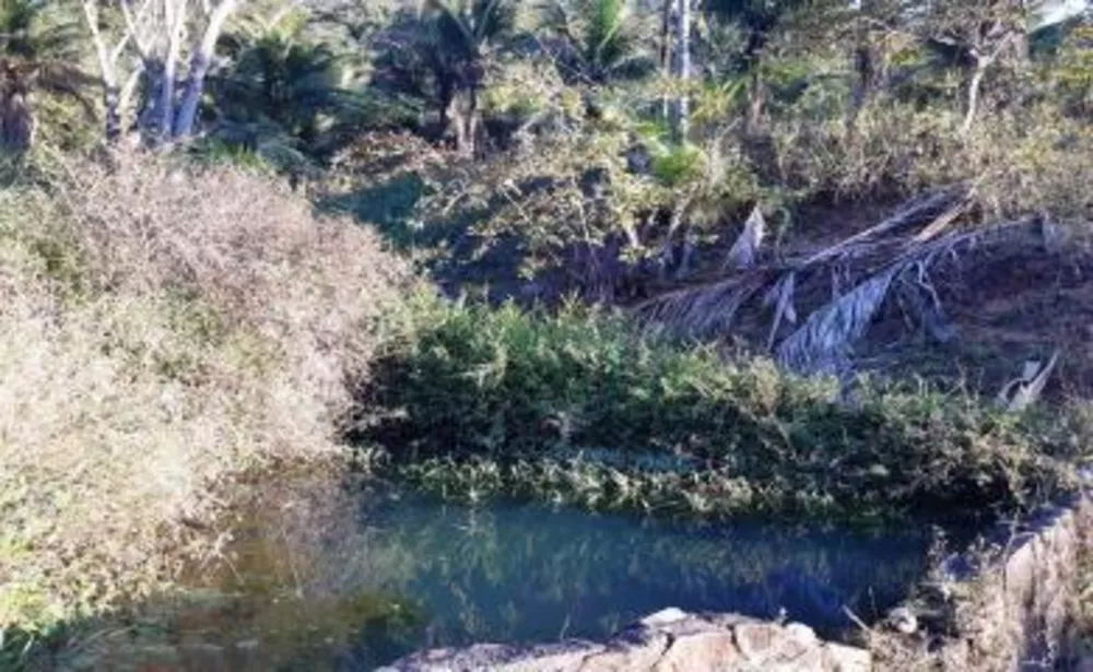 Sítio, 2 quartos, 14 hectares - Foto 10