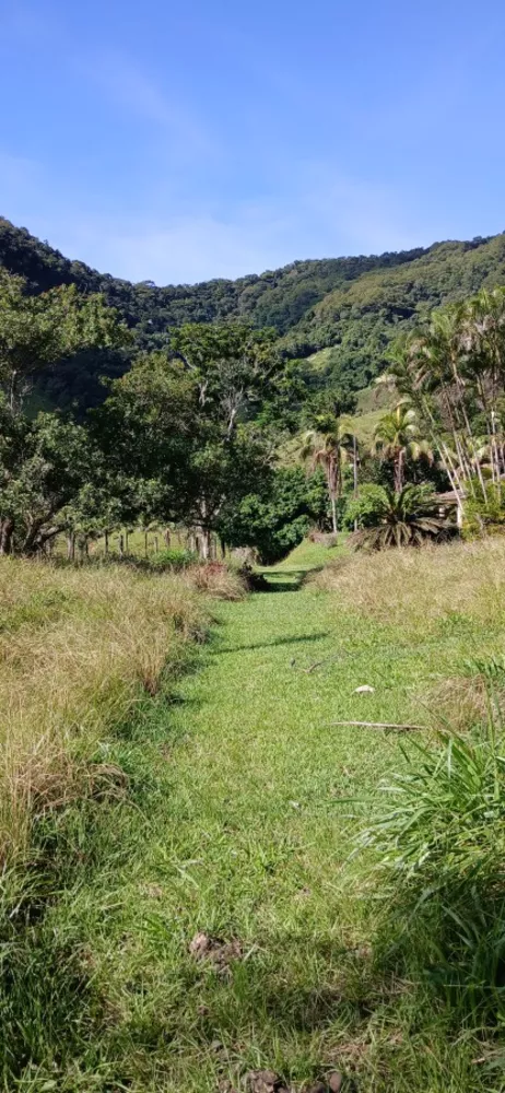 Fazenda, 257 m² - Foto 1