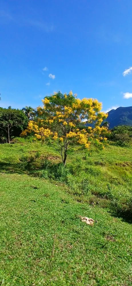 Fazenda, 257 m² - Foto 15