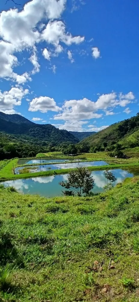 Fazenda, 257 m² - Foto 3